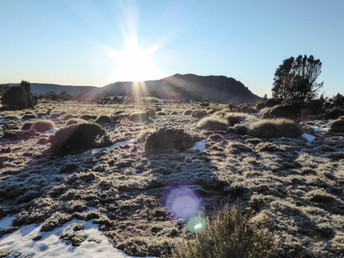 Crispy morning on the Overland Track