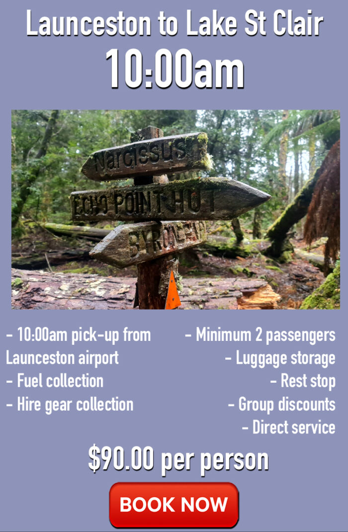 Launceston to Lake St Clair 10:00am Pine Valley transport bus tickets
